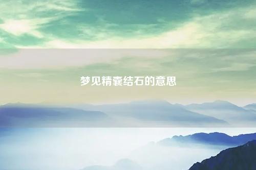 精囊结石的意思