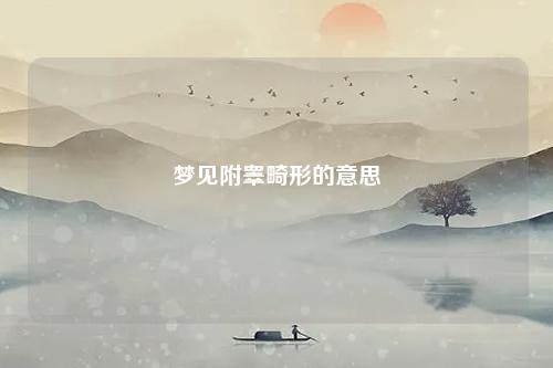 附睾畸形的意思