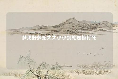 好多蛇大大小小到处是被打死