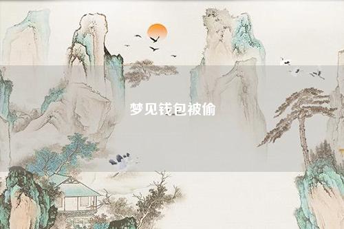 钱包被偷