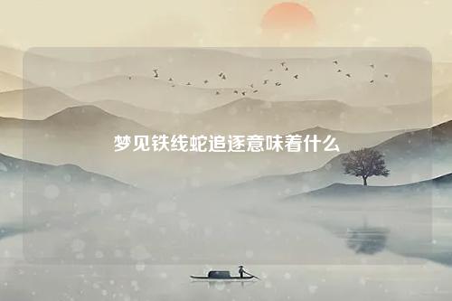 铁线蛇追逐意味着什么