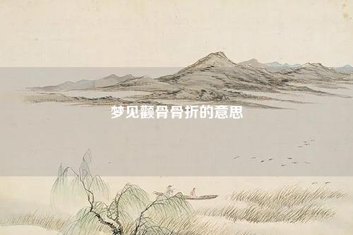 颧骨骨折的意思