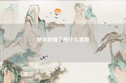 逃婚了是什么意思