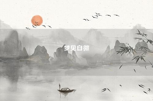 自微