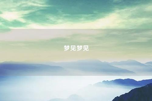 梦见