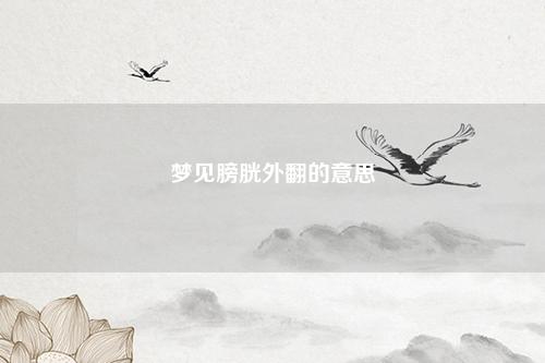 膀胱外翻的意思
